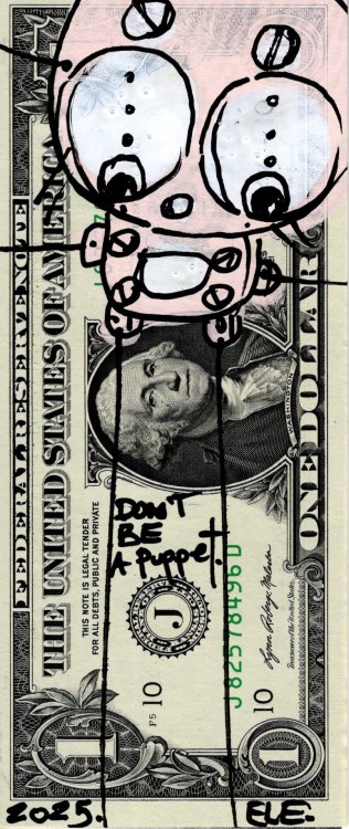 Magnes - Washington -Banknot.jpg