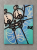 Image 20 wrz 2026, 21_03_25.png